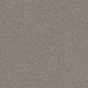 Shaw Floors Carpet Inlet Shore II 15' French Buff 58111_5E791