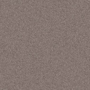 Shaw Floors Carpet Inlet Shore II 15' Smooth Satin 58112_5E791
