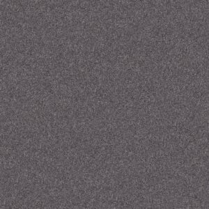 Shaw Floors Carpet Inlet Shore II 15' Rod Iron 58502_5E791