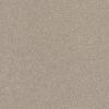 Shaw Floors Carpet Affirmation I Sculptor 00103_5E794