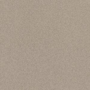 Shaw Floors Carpet Affirmation I Sculptor 00103_5E794