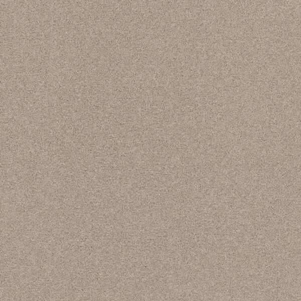 Shaw Floors Carpet Affirmation I Sculptor 00103_5E794