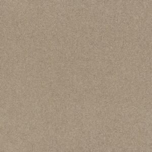 Shaw Floors Carpet Affirmation I Loft Light 00104_5E794