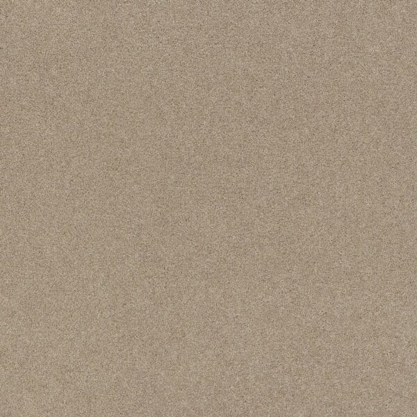 Shaw Floors Carpet Affirmation I Loft Light 00104_5E794