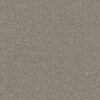 Shaw Floors Carpet Affirmation I Vintage Pewter 00105_5E794