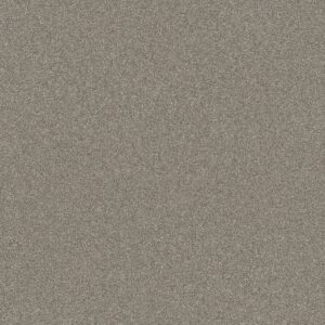 Shaw Floors Carpet Affirmation I Vintage Pewter 00105_5E794