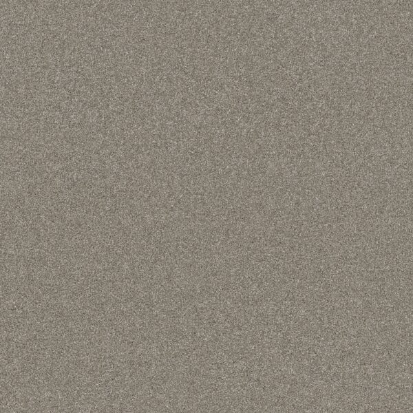 Shaw Floors Carpet Affirmation I Vintage Pewter 00105_5E794
