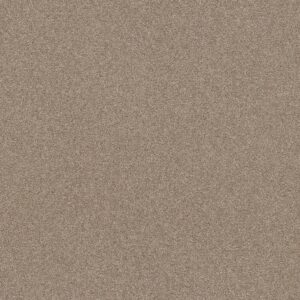 Shaw Floors Carpet Affirmation I Basketry 00106_5E794