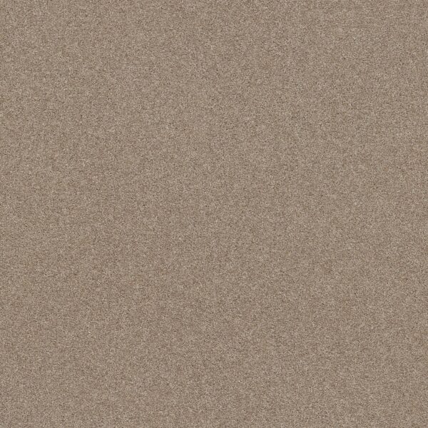 Shaw Floors Carpet Affirmation I Basketry 00106_5E794