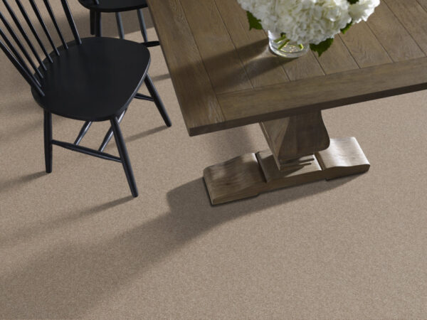 Shaw Floors Carpet Affirmation I Basketry 00106_5E794 - Image 2