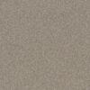 Shaw Floors Carpet Affirmation I Plateau 00110_5E794