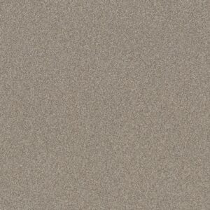 Shaw Floors Carpet Affirmation I Plateau 00110_5E794