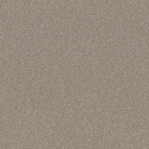 Shaw Floors Carpet Affirmation I Plateau 00110_5E794