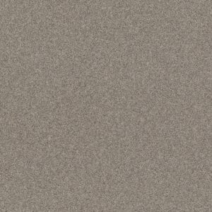 Shaw Floors Carpet Affirmation I Bistro 00111_5E794