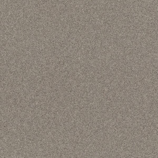 Shaw Floors Carpet Affirmation I Bistro 00111_5E794