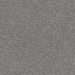 Shaw Floors Carpet Affirmation I Clear Vista 00403_5E794