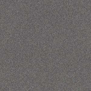 Shaw Floors Carpet Affirmation I Hypnotic 00412_5E794
