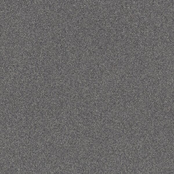 Shaw Floors Carpet Affirmation I Hypnotic 00412_5E794