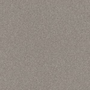 Shaw Floors Carpet Affirmation I Lunar Surface 00500_5E794