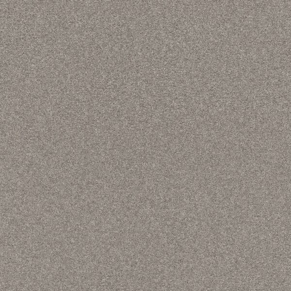 Shaw Floors Carpet Affirmation I Lunar Surface 00500_5E794