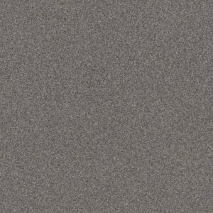 Shaw Floors Carpet Affirmation I Rush Hour 00501_5E794