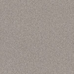 Shaw Floors Carpet Affirmation I Shaved Ice 00510_5E794