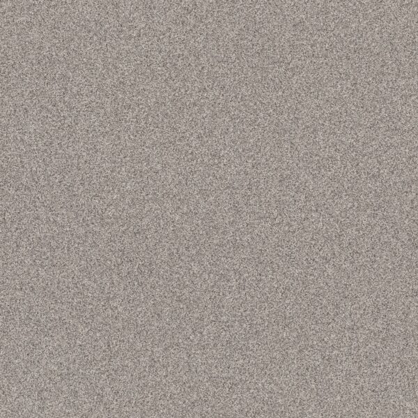 Shaw Floors Carpet Affirmation I Shaved Ice 00510_5E794
