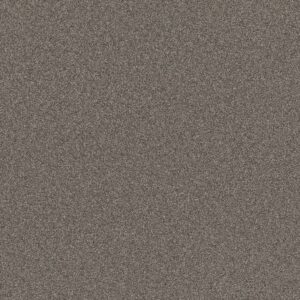 Shaw Floors Carpet Affirmation I Orion Gray 00512_5E794