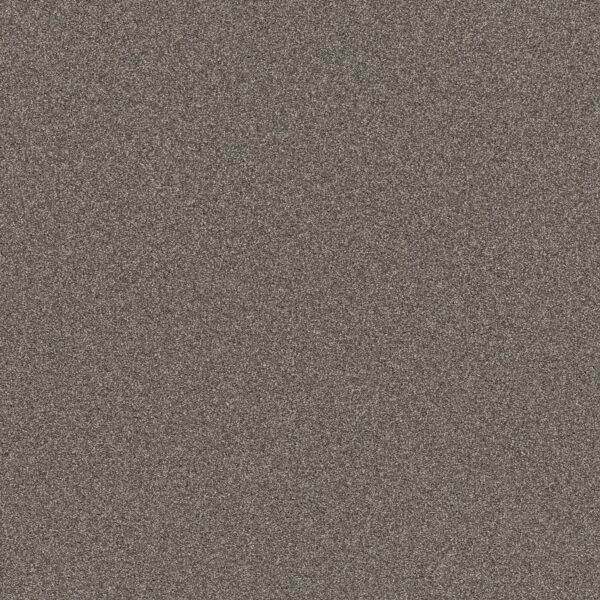 Shaw Floors Carpet Affirmation I Orion Gray 00512_5E794