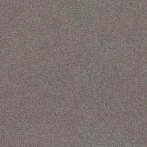 Shaw Floors Carpet Affirmation I Granite 00513_5E794
