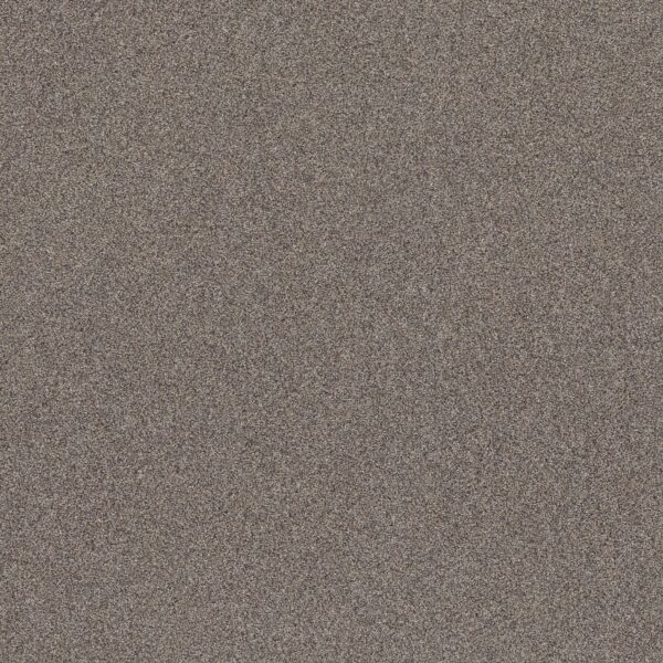Shaw Floors Carpet Affirmation I Granite 00513_5E794