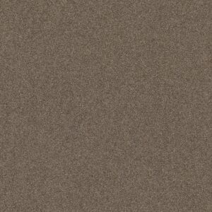 Shaw Floors Carpet Affirmation I Spanish Brown 00701_5E794