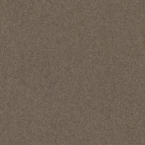 Shaw Floors Carpet Affirmation I Spanish Brown 00701_5E794