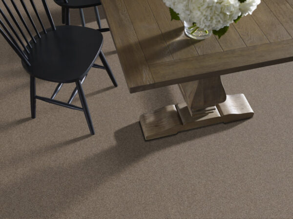 Shaw Floors Carpet Affirmation I Spanish Brown 00701_5E794 - Image 2