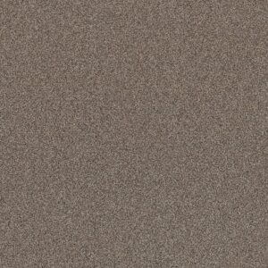Shaw Floors Carpet Affirmation I Havana 00708_5E794