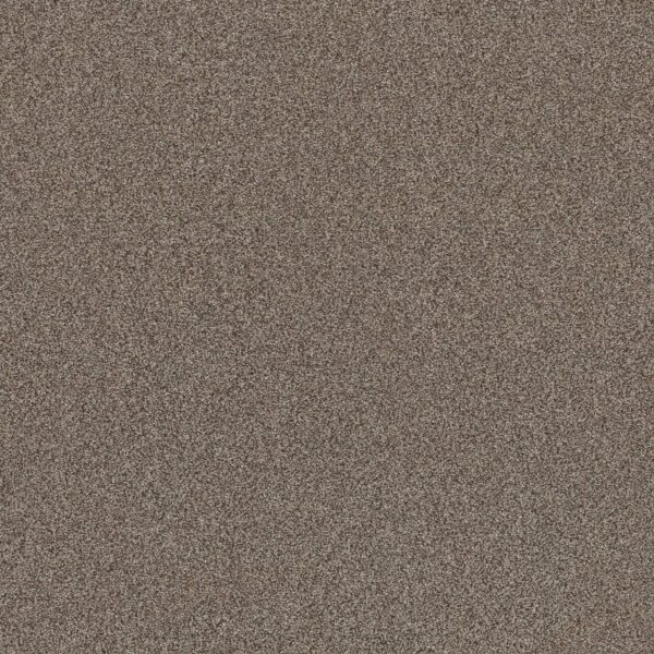 Shaw Floors Carpet Affirmation I Havana 00708_5E794