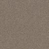 Shaw Floors Carpet Affirmation I Midtown 00711_5E794