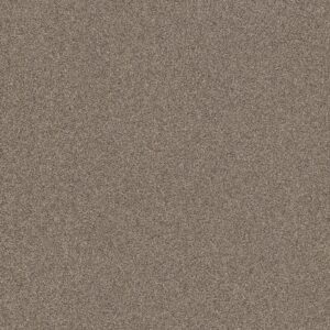 Shaw Floors Carpet Affirmation I Midtown 00711_5E794