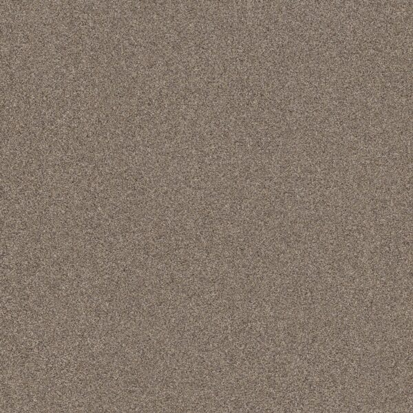 Shaw Floors Carpet Affirmation I Midtown 00711_5E794