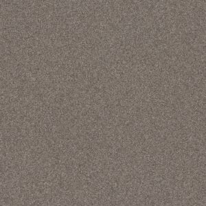 Shaw Floors Carpet Affirmation I Creek Bend 00712_5E794