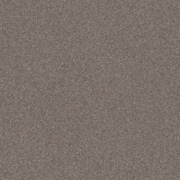 Shaw Floors Carpet Affirmation I Creek Bend 00712_5E794