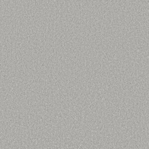 Shaw Floors Carpet Affirmation II White Metal 00100_5E795