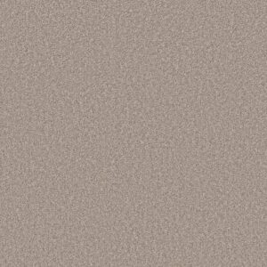 Shaw Floors Carpet Affirmation II Sculptor 00103_5E795