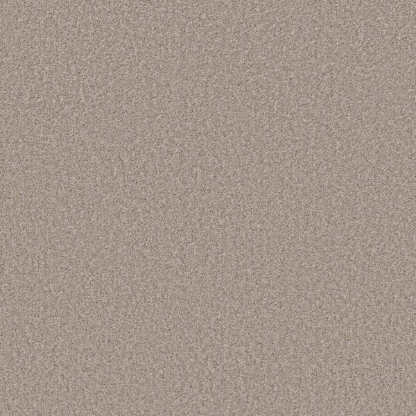 Shaw Floors Carpet Affirmation II Sculptor 00103_5E795