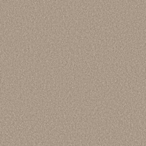 Shaw Floors Carpet Affirmation II Loft Light 00104_5E795