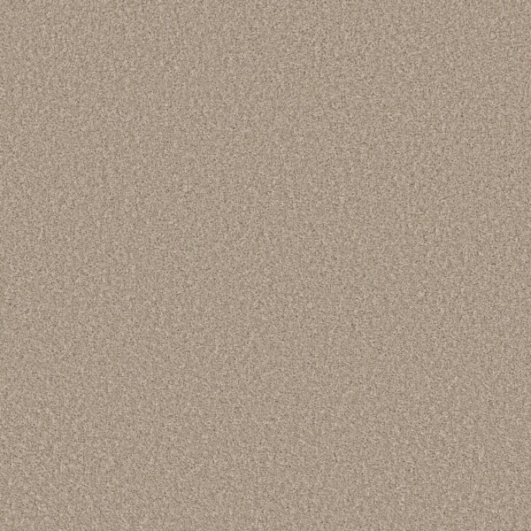 Shaw Floors Carpet Affirmation II Loft Light 00104_5E795