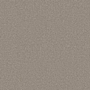 Shaw Floors Carpet Affirmation II Vintage Pewter 00105_5E795