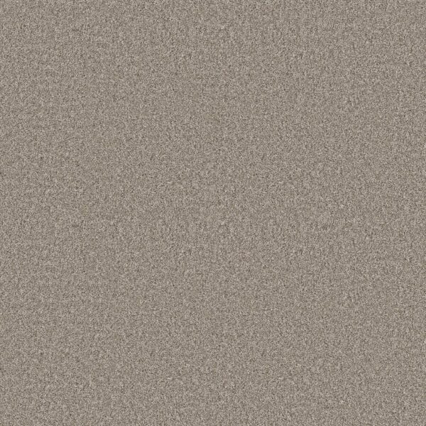 Shaw Floors Carpet Affirmation II Vintage Pewter 00105_5E795