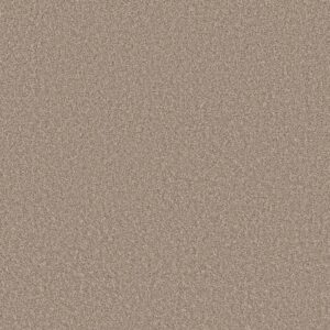 Shaw Floors Carpet Affirmation II Basketry 00106_5E795