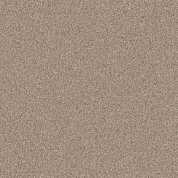 Shaw Floors Carpet Affirmation II Basketry 00106_5E795